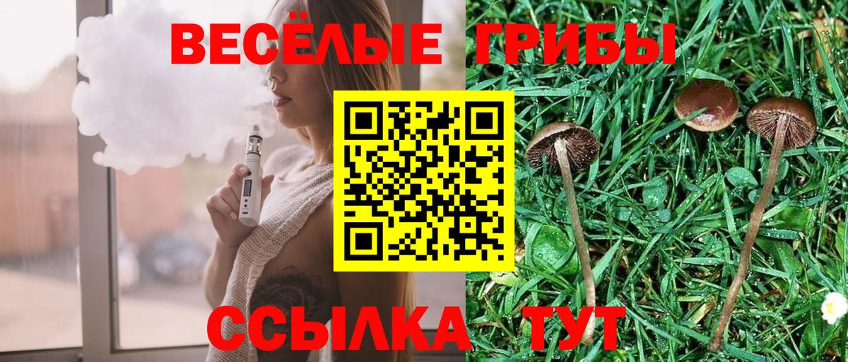 Галлюциногенные грибы Cubensis  Галлюциногенные грибы Magic Shrooms  Братск  Вход с VPN 